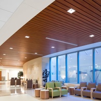 Bande de plafond linéaire en alliage d'aluminium à grain de bois moderne, ignifuge, en forme de G, anti-corrosion, pour couloirs et halls d'hôpitaux