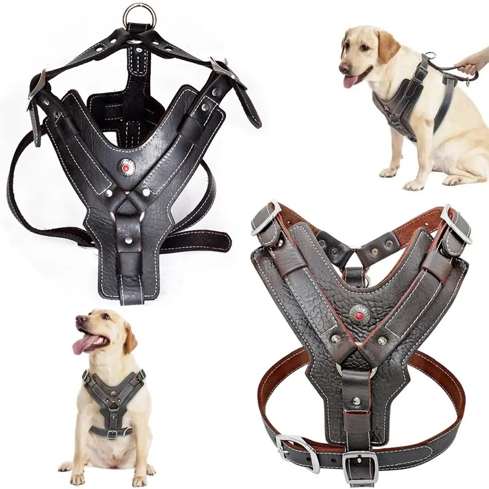 Dog Harness Kingtale Soft Top Layer Leather Trade Assurance Solid Genuine Leather Dog Collar Real Leather Pit Bull Dog Harness