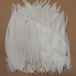 Plumas de gallo súper blancas al por mayor de 12-14 pulgadas para atado de moscas, tocados, carnaval, mochilas y decoraciones - Product Image 6