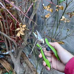 <span class=keywords><strong>Mini</strong></span> <span class=keywords><strong>sécateur</strong></span> de raisin de jardin bricolage avec ciseaux à lame en acier inoxydable pour les travaux d'élagage - Product Image 5