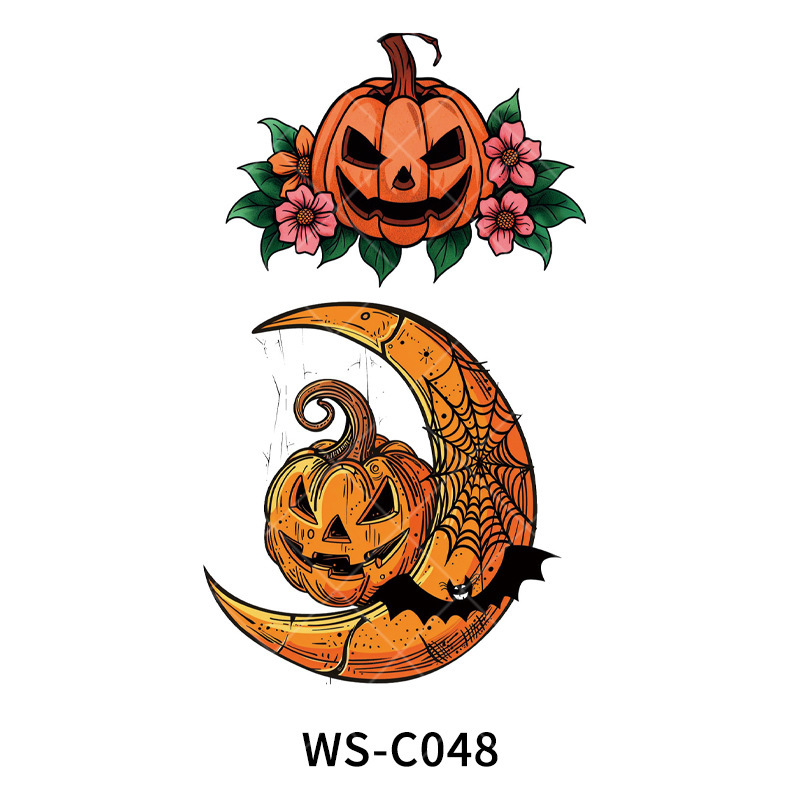 WS-C048