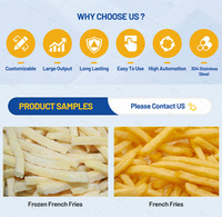 Ligne de production de frites entièrement automatique en acier inoxydable de qualité alimentaire 150 kg/h certifiée CE, adaptée aux usines alimentaires