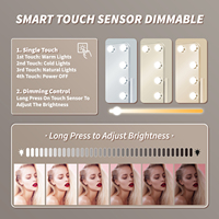 Sans fil 360 °   Miroir de maquillage portable Flip Holly Wood avec 12 LED, rechargeable par Type-C, avec/sans Bluetooth, gain de place