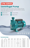 Pompe centrifuge électrique LLASPA CPM158, bobinage cuivre/aluminium disponible, pompe d'alimentation en eau domestique OEM