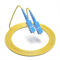 Cable de Fibra Óptica SC-SC 3M Personalizado OEM, Monomodo G652D LSZH PVC 5G, Cable de Conexión de Fibra Óptica para Redes de Telecomunicaciones FTTH