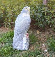 Répulsif d'Oiseaux Aigle Faucon en Plastique Écologique pour Jardin, Dissuasif et Appât Anti-Oiseaux, Contrôle des Animaux d'Extérieur
