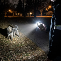 Correcteur de Comportement Canin Portable Breveté, Outil Dissuasif à Charge Rapide Type C, Anti-Aboiement Ultrasonique, Télécommande avec Lumière Laser LED