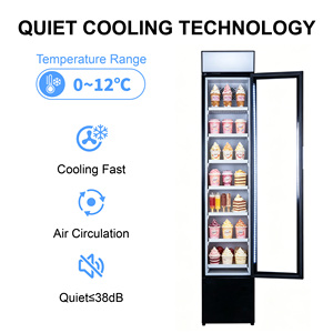 Produit Tendance : Mini-réfrigérateur à Porte Vitrée SD-105L, Vitrine Réfrigérée Commerciale Slim pour Crèmes Glacées, Idéal pour Boulangeries et Magasins - Product Image 3