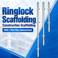 Échafaudage Ringlock Q355B Standard Vertical 48.3x3.2mm 1500mm Fabriqué sur Mesure pour Travaux de Façade