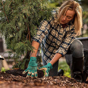 Profesional para mujer azul corto cuero de vaca Spandex costura neopreno nudillo Flexible agua espina prueba jardín guantes - Product Image 6