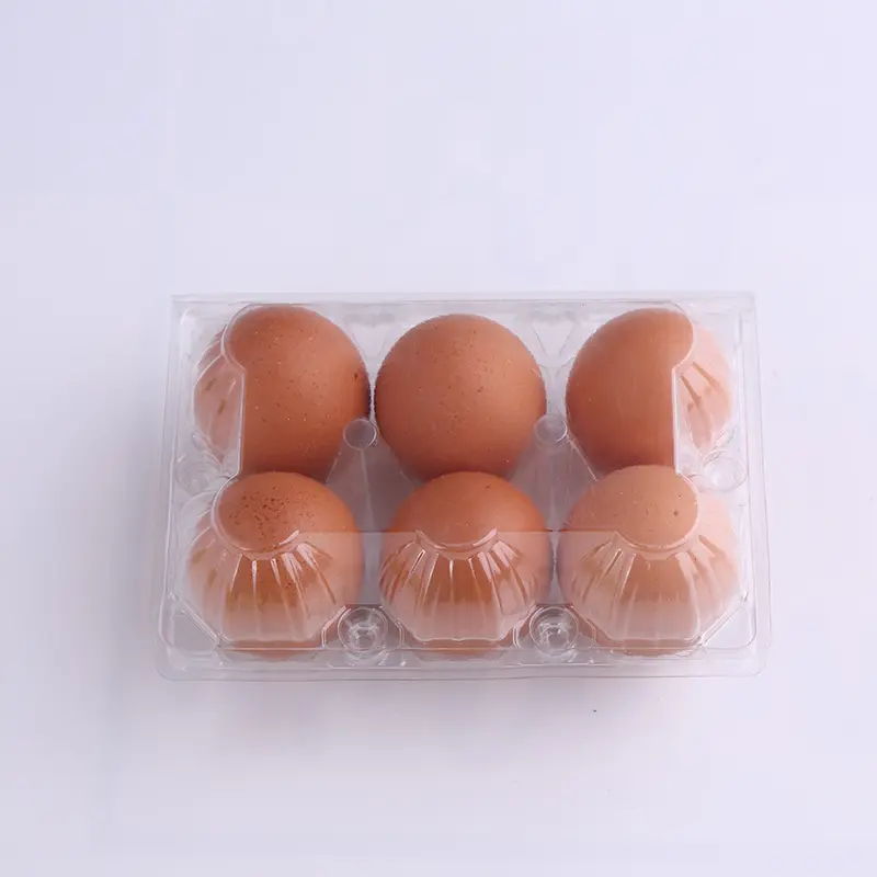 50 boîtes d'emballage d'œufs en plastique transparent, échantillon gratuit, plateau avec 6 trous
