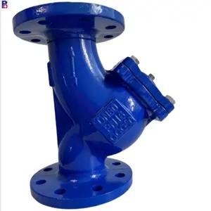 Filtre en fonte ductile de couleur bleue époxy DIN F1
