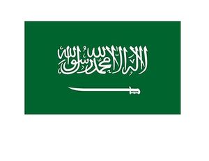 De China a Arabia Saudita Shipping Company Precio del contenedor Servicio marítimo confiable Agente de envío Freight Forwarder - Product Image 1