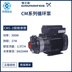 ปั๊มหอยโข่งแนวนอน Grundfos Cm3-4 ปั๊มเพิ่มแรงดันน้ำร้อน ขนาดท่อ 25 มม. แรงดันไฟฟ้า 380V - Product Image 2