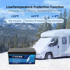 Batteria LifePO4 12/24V 100AH, Batteria al Litio Sostitutiva della Batteria al Piombo-Acido, Fosfato di Ferro al Litio con BMS Intelligente per Nuovi Sistemi di Accumulo Energetico - Product Image 5