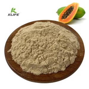 Wholesale Bulk Natural Papaya Extract Papain Enzyme Powder Papain