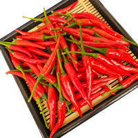 Piments frais, légumes crus, aliments et boissons de l'équipe professionnelle, excellent service après-vente agricole, vietnamien, 30 kg/paquet