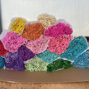 120g Preserved <strong>Flowers</strong> and Plants Babys Breath <strong>Dried</strong> <strong>Flowers</strong> Baby's Breath Gypsophila <strong>Dried</strong> Baby Breath <strong>Flower</strong> for Bouquet - Product Image 5