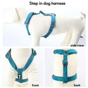 <span class=keywords><strong>Collar</strong></span> de correa de perro de lujo de terciopelo personalizado entrenamiento de mascotas caminar arnés de perro ajustable conjunto de Correa y <span class=keywords><strong>collar</strong></span> conjunto - Product Image 2