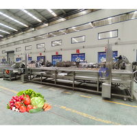 Industriële avocado-, sinaasappel-, mango-, citrusvruchten- en groentewas-, was-, polijst-, sorteer-, en sorteermachine verwerkingslijn
