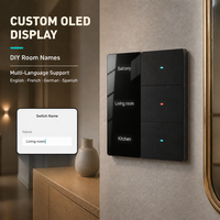 Interrupteur mural OLED intelligent avec application et commande vocale pour Alexa Google Home, avec minuterie et protection contre les surcharges, en panneau de verre PC, CE RoHS
