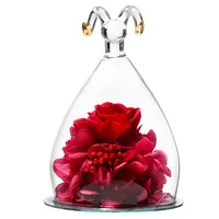 טלה לנצח נצחי טבעי לנצח אלמוות השתמר ורדים פרחי זכוכית כיפת עבור האהבה חתונה מתנות