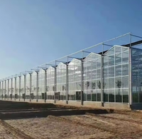 Serre commerciale multi-chapelles Venlo en verre pour l'horticulture, avec structure métallique en aluminium et isolation hivernale pour légumes