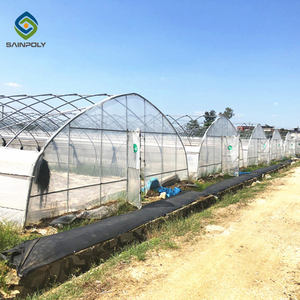 Sainpolytunnel Nhà Kính Ở Ba Lan Phim Nhựa 8X30M Trang Trại Rau Xanh Nhà Kính Nông Nghiệp Dọc Trang Trại Cho Tom - Product Image 4