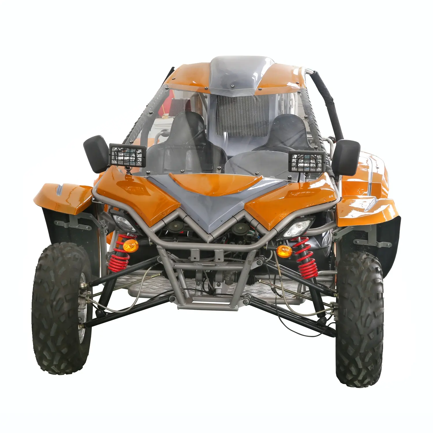 1100cc 2 seat off road buggy