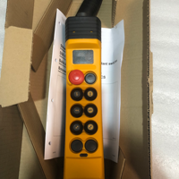 De&mag DSE 10-C 77335245 Interrupteur de commande suspendu d'origine pour palan électrique en stock
