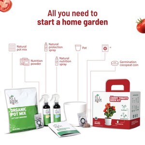 Vente en gros Kit de culture de tomates cerises Pots d'arrosage automatique avec emballage en papier <span class=keywords><strong>pour</strong></span> jardin extérieur usage domestique - Product Image 2