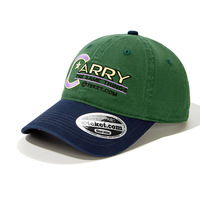 Casquette de baseball personnalisée brodée de feuilles et de léopards pour femmes, 100 % coton, ajustable, chapeau de soleil d'été pour petites marques de mode