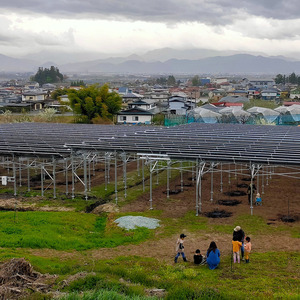 Sistema de Granja Solar Agrícola de 1MW 3MW al por Mayor con Soporte de Suelo Fotovoltaico NS-farm-6 AL6005-T5 - Product Image 4