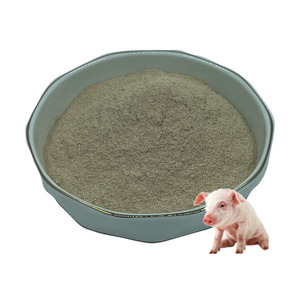 Suplements Probiotics Bacillus subtilis สำหรับสัตว์โคโปรไบโอติก - Product Image 4