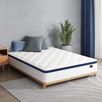 Matelas Hybride King Queen Double Taille en Latex Gel Mousse à Mémoire Ressorts Ensachés en Boîte 5 Zones Roulé pour Chambre Mobilier de Maison