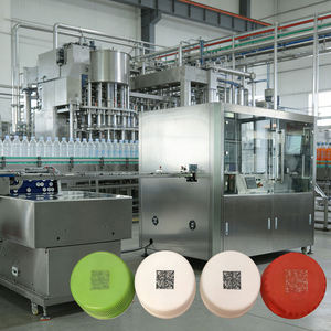 Système de marquage laser entièrement automatique pour codes QR et étiquettes, machine de codage pour la production de bouchons de bouteilles alimentaires et de boissons en Russie - Product Image 2