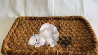 Tapis pour animaux de compagnie pour chats, accessoires pour animaux de compagnie en noix de coco, tapis/tapis à gratter naturel pour animaux de compagnie, jouet à gratter pour animaux de compagnie, tapis de yoga en fibre de noix de coco pour chiens
