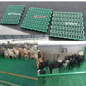 Plancher en plastique économique et durable, épaissi, à lattes pour moutons/chèvres, pour élevage de chèvres, 60*60 cm avec poutre en fibre de verre - Product Image 6
