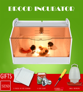 Couveuse et éleveuse de poussins entièrement automatiques à vendre à prix abordable - Product Image 1