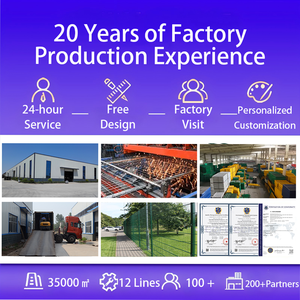 גדר רשת כפולה מצופה אבקה, תוצרת מפעל ISO CE, דגם 868 656, עם חוטים כפולים מחוזקים, מתאימה לשדות תעופה ורכבות. - Product Image 4