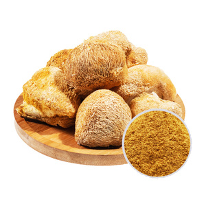 مستخلص فطر عرف الأسد (هيريسيوم إريناسيوس) الطبيعي عالي الجودة، فطر عرف الأسد المجفف النقي - Product Image 1