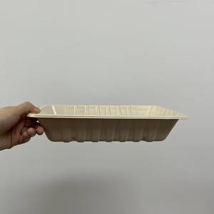 Custom Disposable Compostable Biodegradable Sugarcane Fiber Bagasse Top Seal Map Barrier Packaging <strong>Meat</strong> <strong>Trays</strong> - Product Image 4