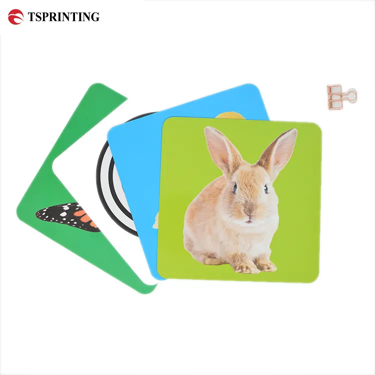 عينة مجانية من البطاقات التعليمية الملونة الكاملة للأطفال بطاقات ذاكرة مطابقة للحيوانات ألعاب الأطفال خدمة طباعة البطاقات التعليمية