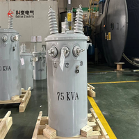 Transformateur de distribution immergé dans l'huile 12,47 kV 13,2 kV 13,8 kV 100 kVA, monophasé, monté sur poteau - Vente chaude