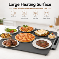 Plateau chauffant électrique 40x40cm, grande plaque chauffante pour buffet, fête, dîner familial, table, cuisine, vente en gros