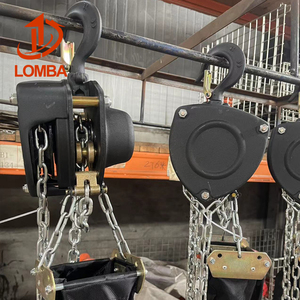 Polipasto de cadena de grúa de cadena de acero inoxidable manual de Distrito de seguridad de 1000kg tipo de cadena de kg - Product Image 1