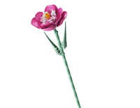 Femibox FL2248 2024 Nuevo Juego de Construcción de Flores de 79 Piezas, Bloques de Construcción de Partículas Pequeñas, Directo de Fábrica, Juguetes Educativos Personalizados DIY Exquisitos