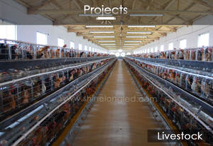 Lámpara LED Tri-Proof IP67 con Controlador DALI para Uso Agrícola, Garantía de 3 Años, Regulable - Product Image 2