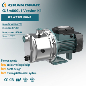 Bomba de chorro GRANDFAR 1.1 con cableado de cobre, impulsor de latón, 1"*1" de superficie, acero inoxidable de alta resistencia, versión GJSm800L1 K1 1.1, bomba de chorro GJSm8 - Product Image 1