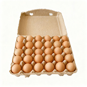 Bán Buôn 30-Lỗ Trứng Carton Tùy Chỉnh Tấm Bảng Lưu Trữ Khay Giấy Với Nắp Chống Thấm Nước Tốt Nhất Trứng Container - Product Image 2